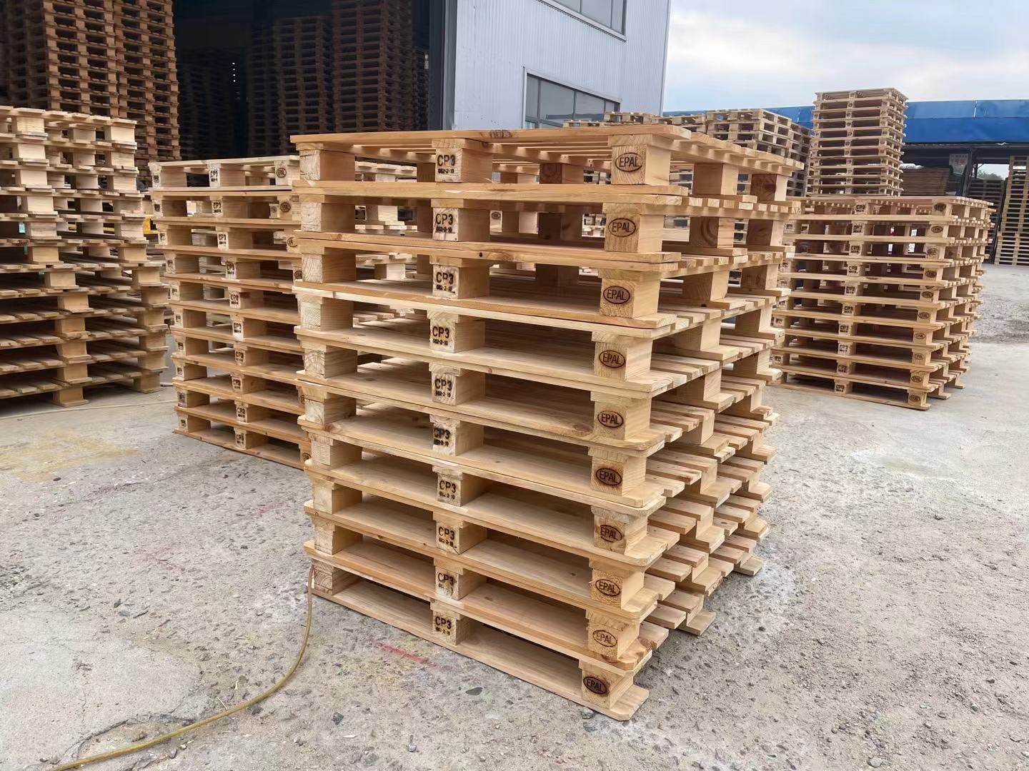 cp3-13.jpg cp3-13.jpg